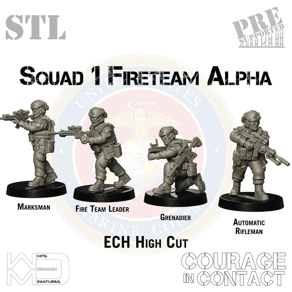 Squad 1 Fireteam Alpha - US Marines - STL