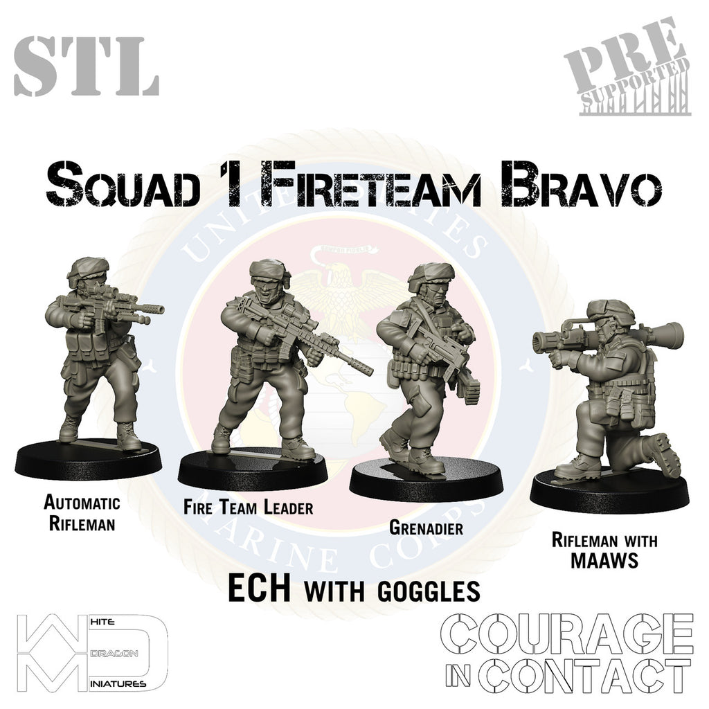 Squad 1 Fireteam Bravo - US Marines - STL