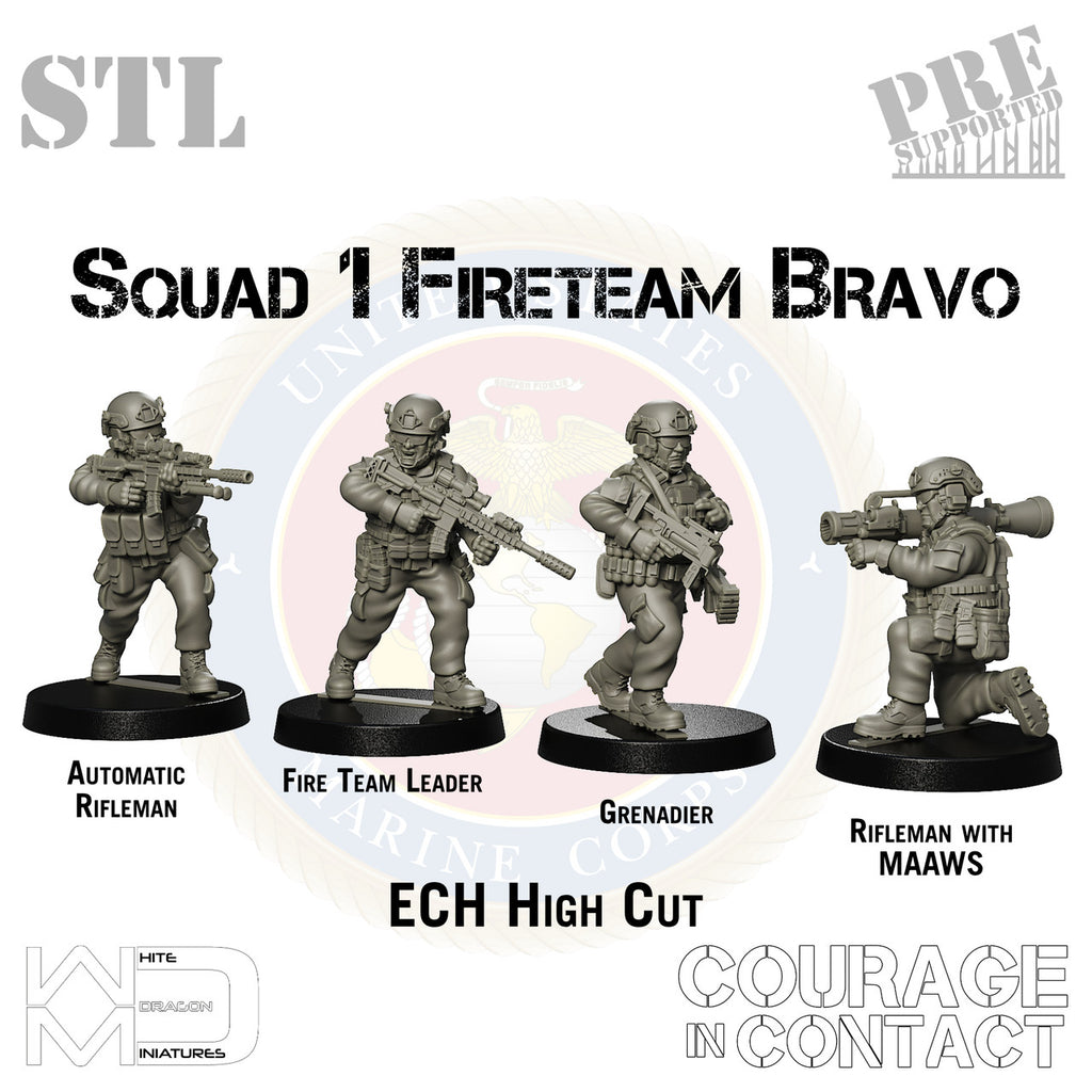 Squad 1 Fireteam Bravo - US Marines - STL