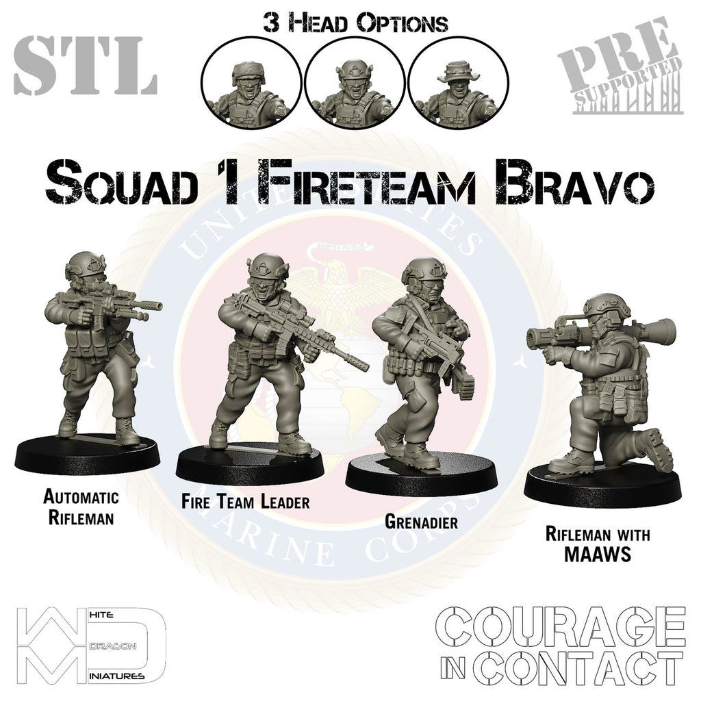 Squad 1 Fireteam Bravo - US Marines - STL