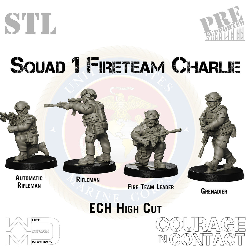 Squad 1 Fireteam Charlie - US Marines - STL