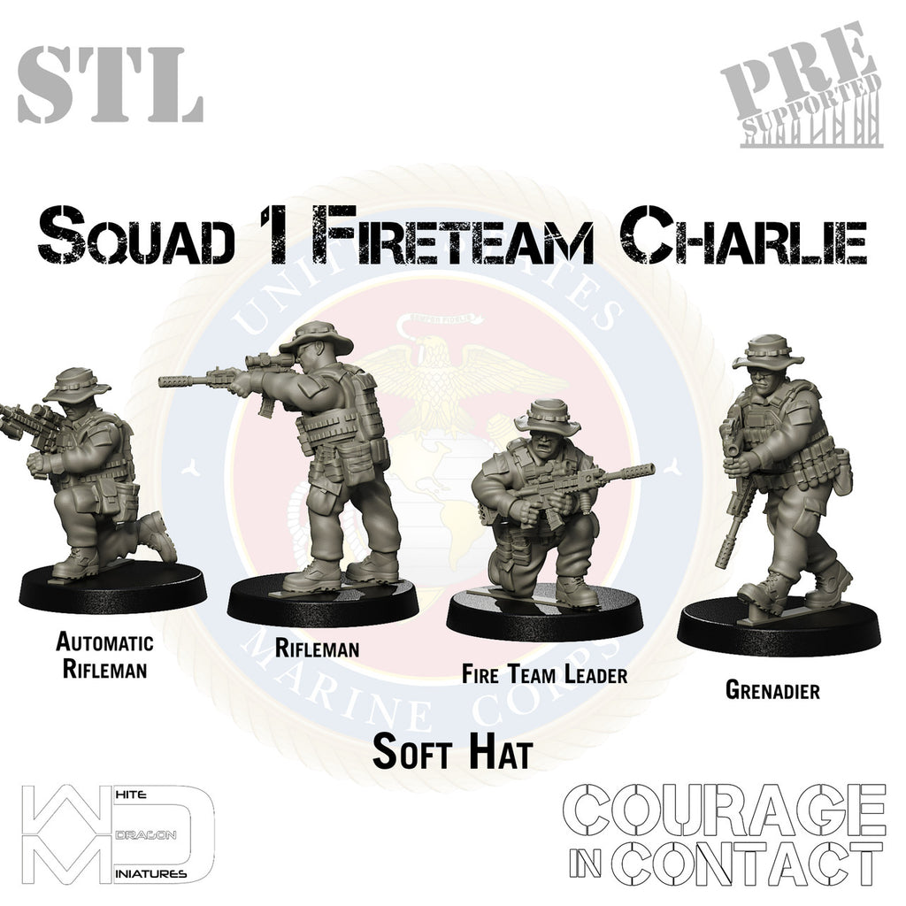 Squad 1 Fireteam Charlie - US Marines - STL