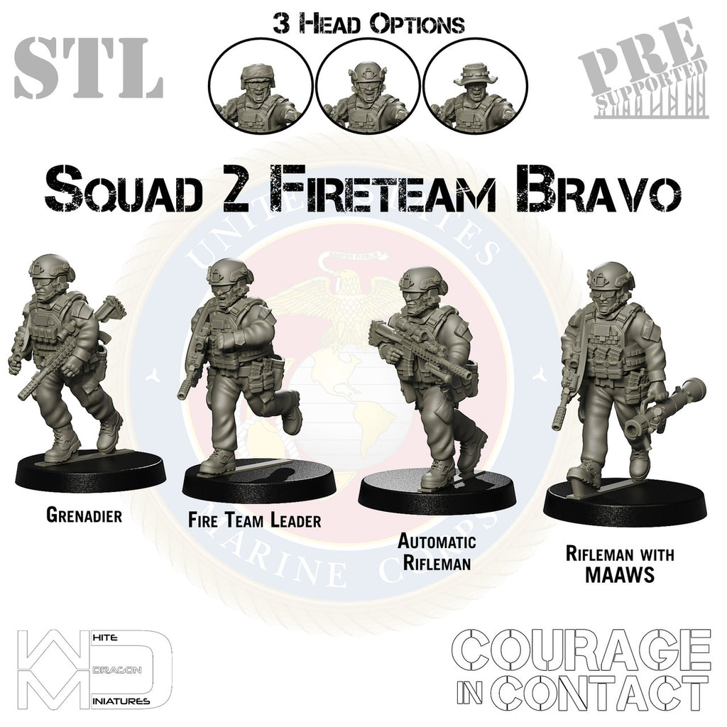 Squad 2 Fireteam Bravo - US Marines - STL