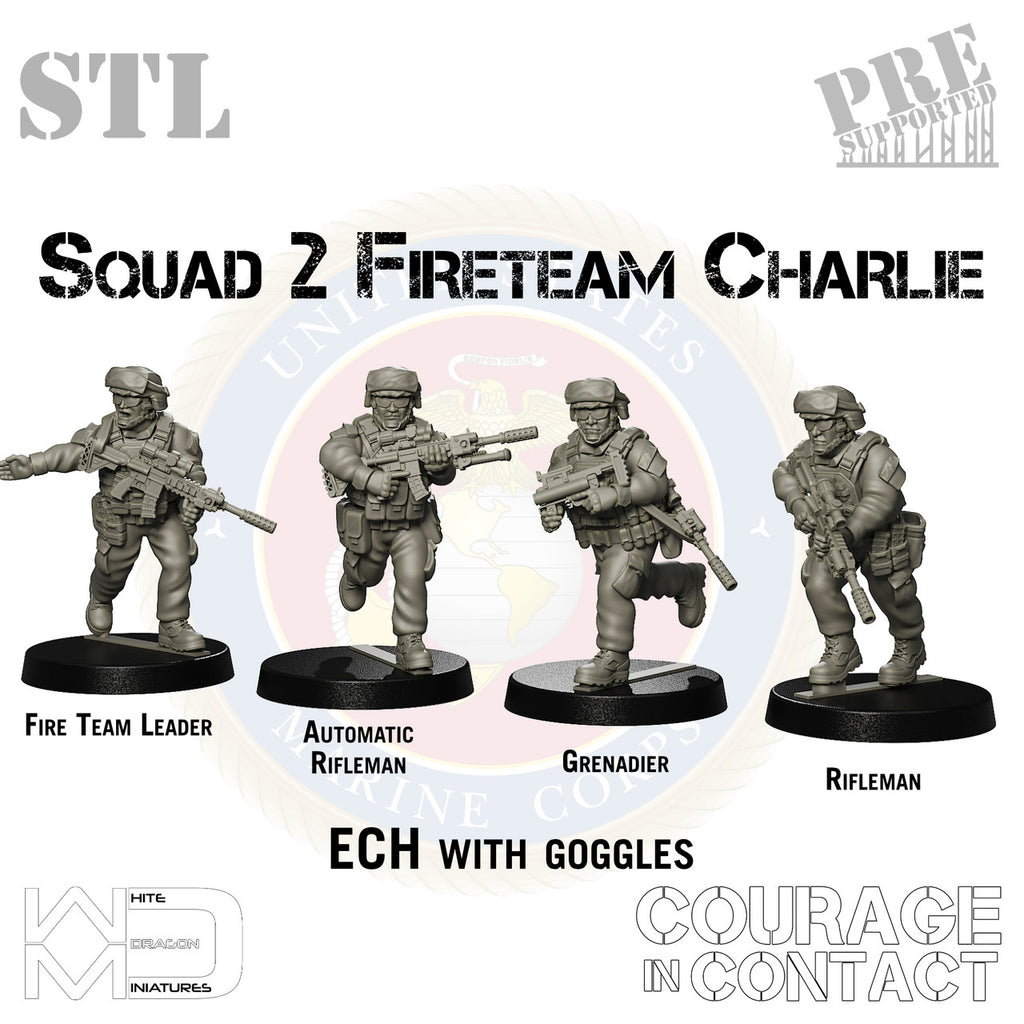 Squad 2 Fireteam Charlie - US Marines - STL
