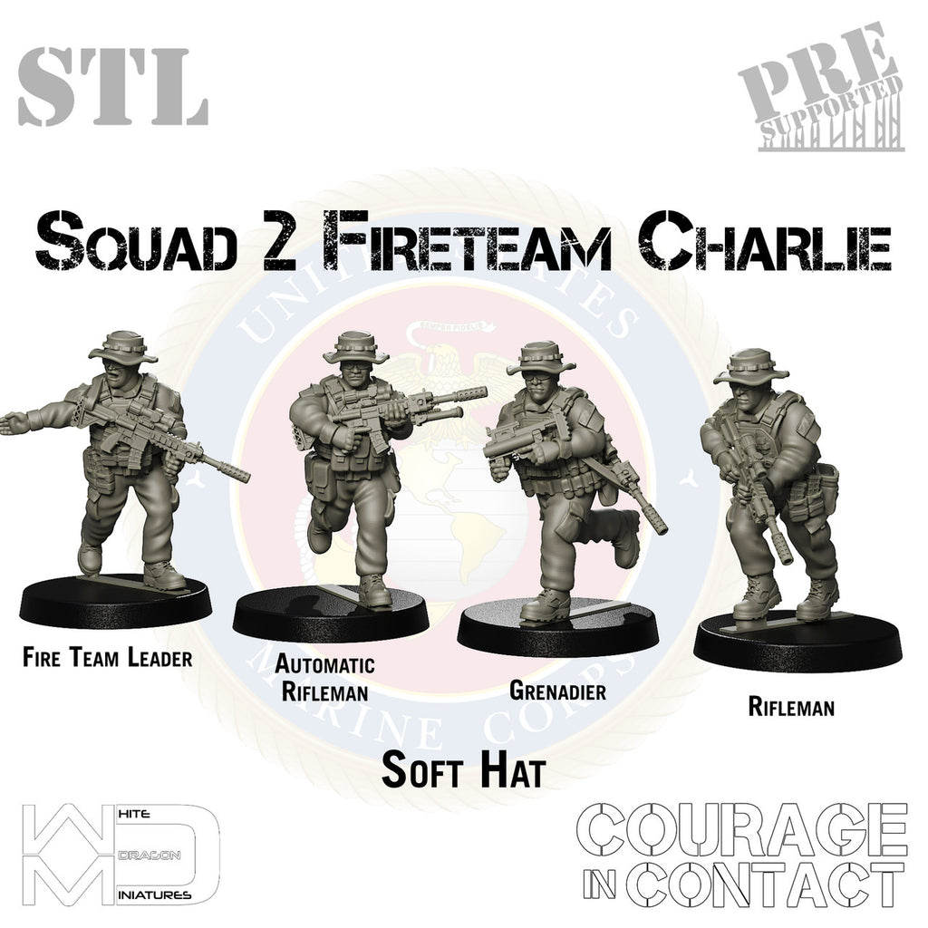 Squad 2 Fireteam Charlie - US Marines - STL
