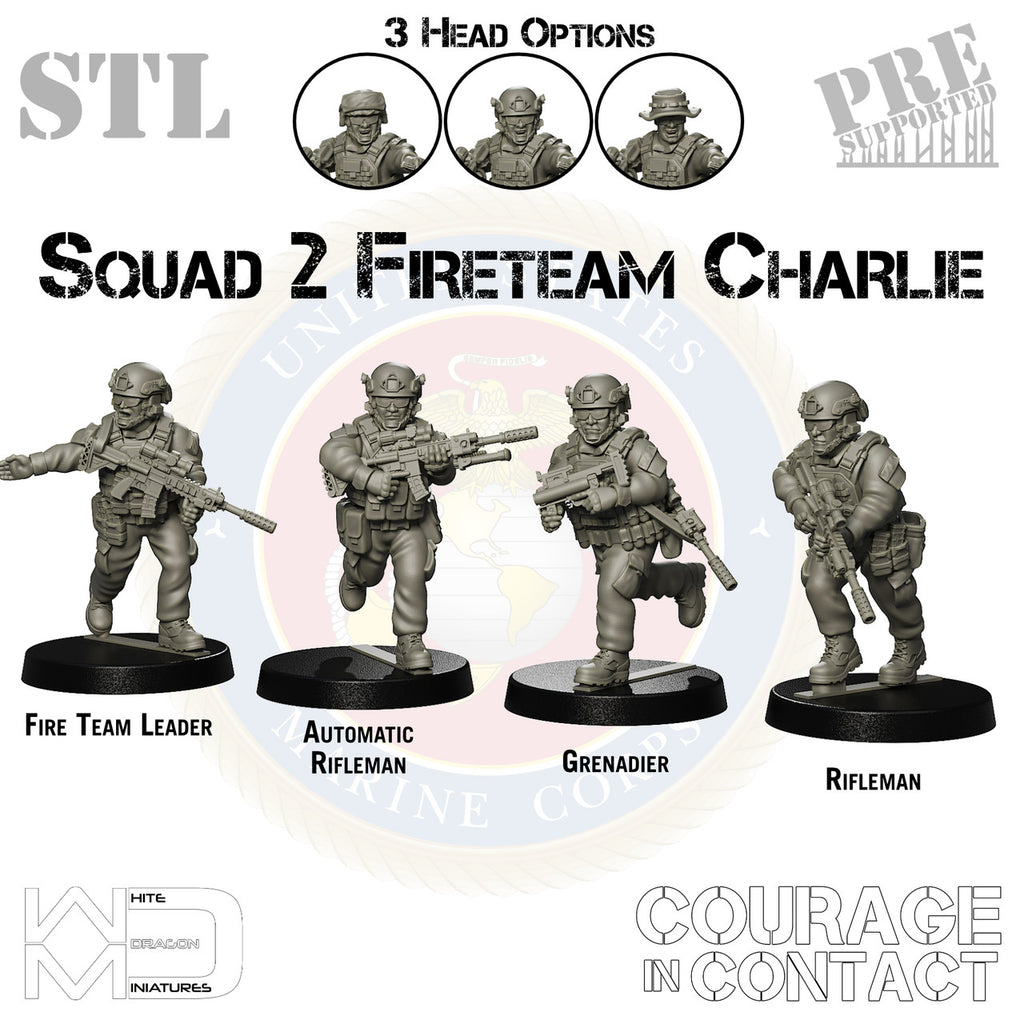 Squad 2 Fireteam Charlie - US Marines - STL