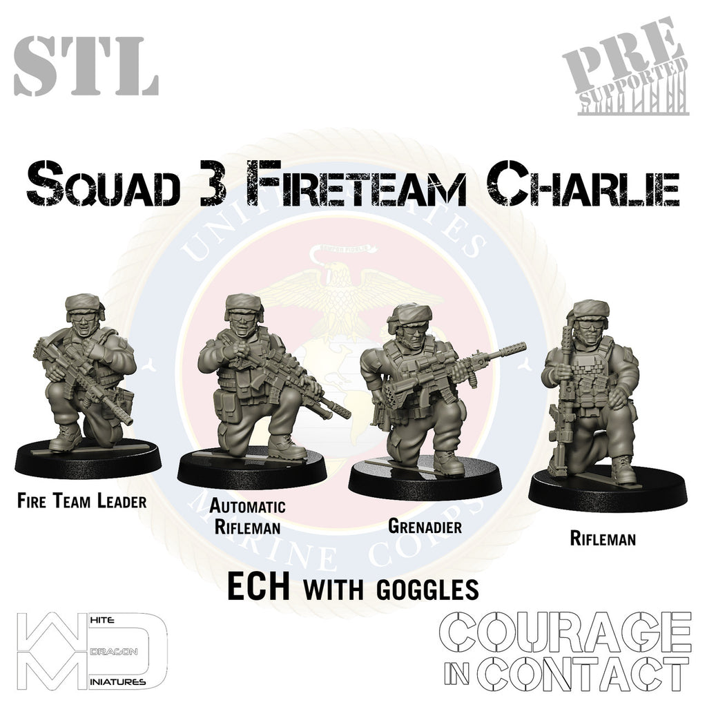 Squad 3 Fireteam Charlie - US Marines - STL
