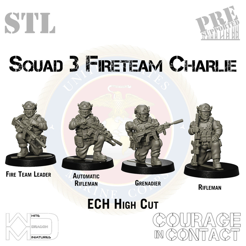 Squad 3 Fireteam Charlie - US Marines - STL