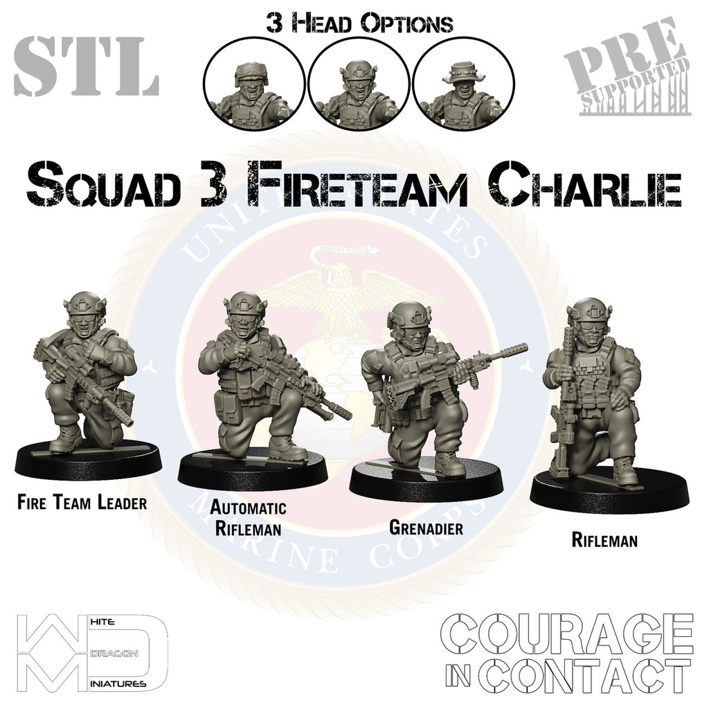 Squad 3 Fireteam Charlie - US Marines - STL