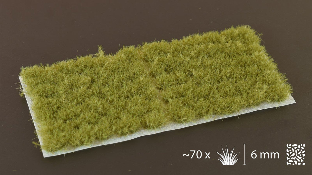 Dense Green 6mm - Wild