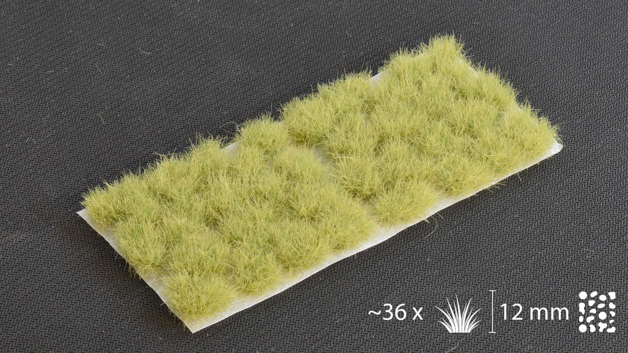 Light Green XL 12mm - Wild